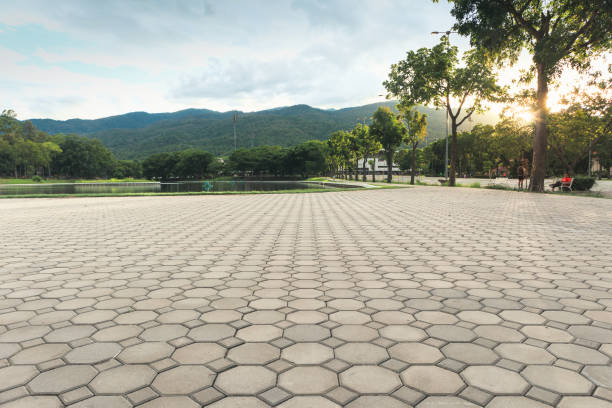 Best Permeable Paver Driveway  in Vaiden, MS
